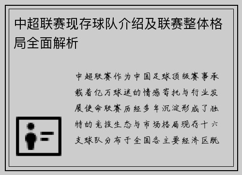 中超联赛现存球队介绍及联赛整体格局全面解析