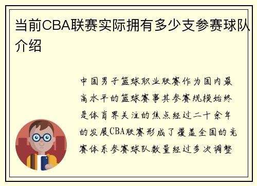 当前CBA联赛实际拥有多少支参赛球队介绍