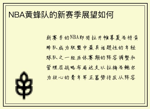 NBA黄蜂队的新赛季展望如何